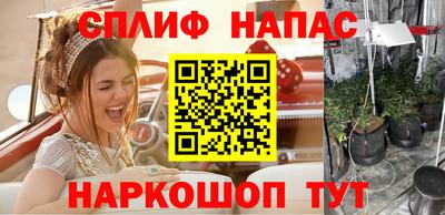 стаф Волгодонск